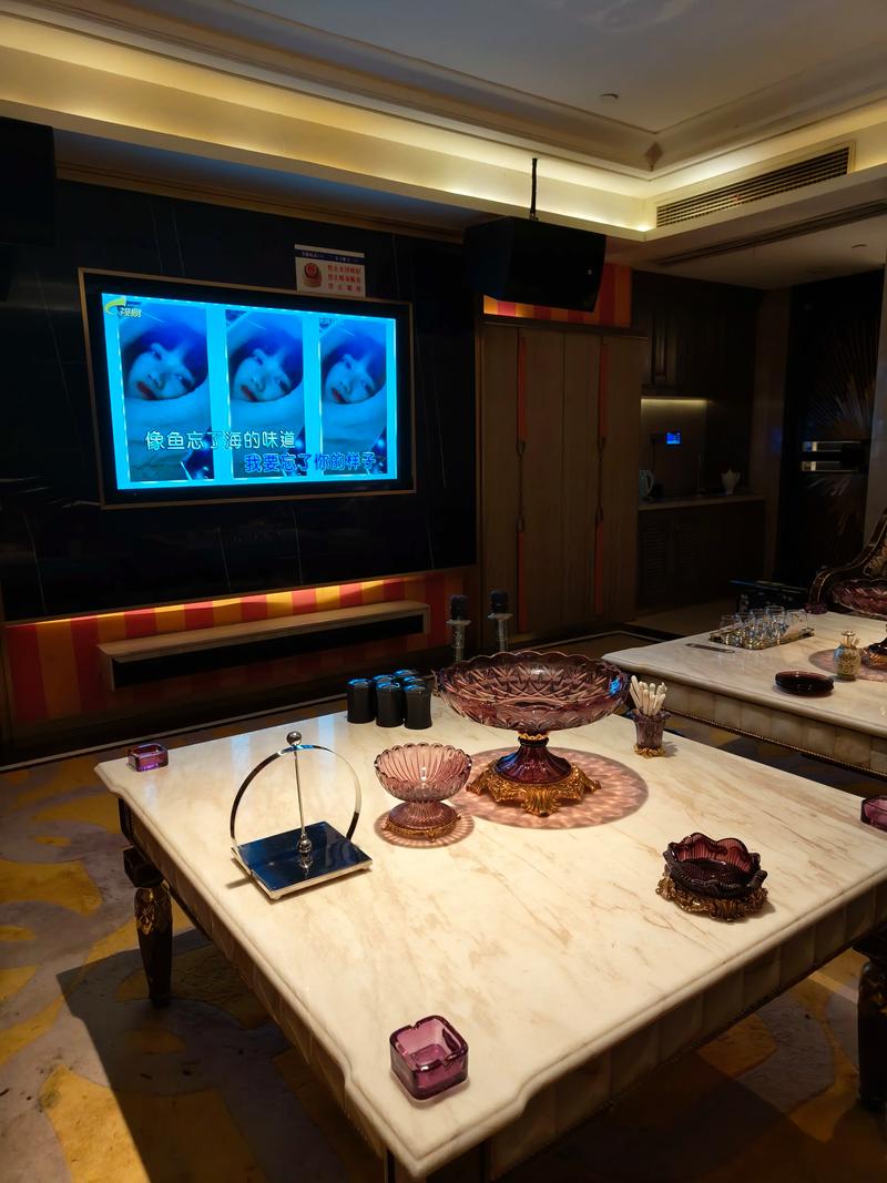 青岛商务ktv经营标准-李沧区ktv预定